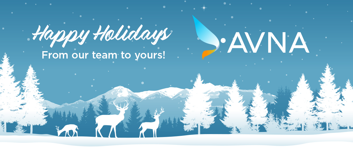 December 2024 AVNA Newsletter: Innovations in Medical Manufacturing — Fourth Quarter News