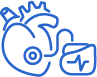 cardiovascular icon