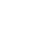 Phase 1