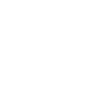 Phase 2