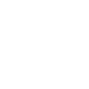 Phase 3
